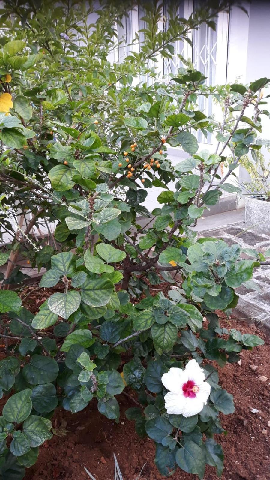 Mahebourg Family Home 외부 사진